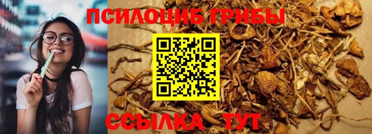 Псилоцибиновые грибы мицелий Магадан