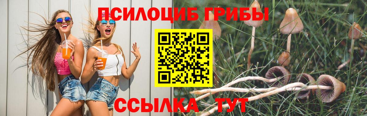 Псилоцибиновые грибы GOLDEN TEACHER  Вход с VPN  Псилоцибиновые грибы ЛСД  Магадан 
